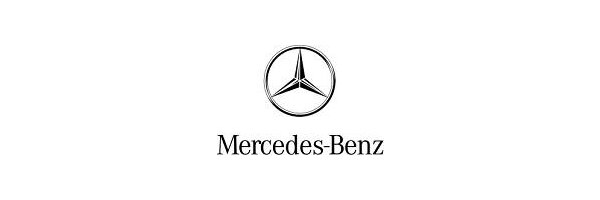 Mercedes Citan + eCitan + T-Klasse W420, ab Baujahr 08/2021 -