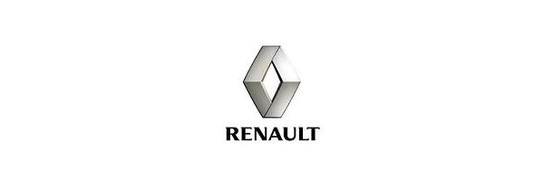 Renault Captur II Bj. ab 01/2020-