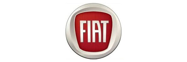 Fiat 500 ( Typ 312 ) Bj. 2007 - 2023